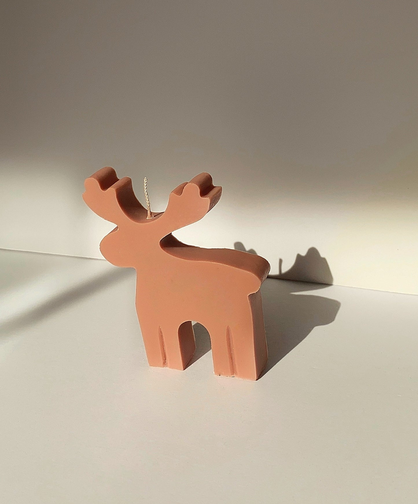 Reindeer