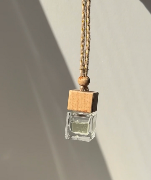 Car diffuser